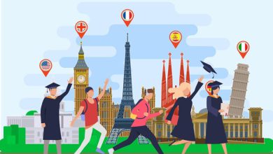 دانشگاه برتر