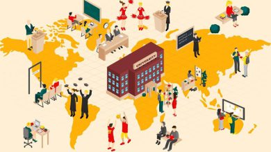 دانشگاه های برتر