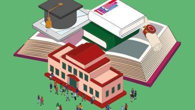 دانشگاه برتر جهان