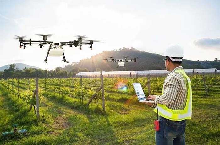 آسان ترین رشته مهندسی کشاورزی (گرایشهای مرتبط)